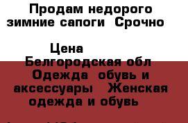 Продам недорого зимние сапоги. Срочно. › Цена ­ 1 000 - Белгородская обл. Одежда, обувь и аксессуары » Женская одежда и обувь   